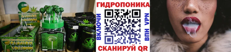 Canna-Cookies марихуана  закладки  Цоци-Юрт 
