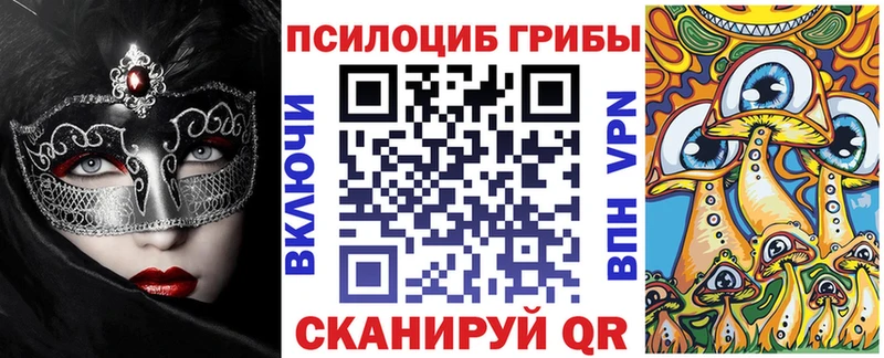 хочу   Цоци-Юрт  Псилоцибиновые грибы Psilocybine cubensis 