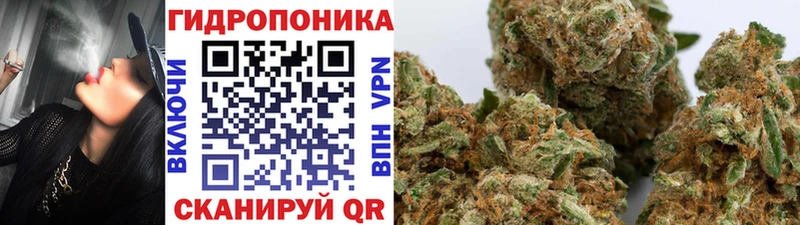 сколько стоит  Цоци-Юрт  Канабис Bruce Banner 