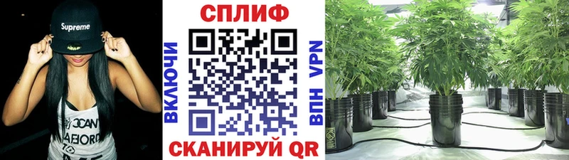 Каннабис тримм Цоци-Юрт